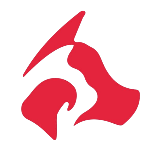 Best Pet Clinic in Islamabad providing veterinary care and grooming