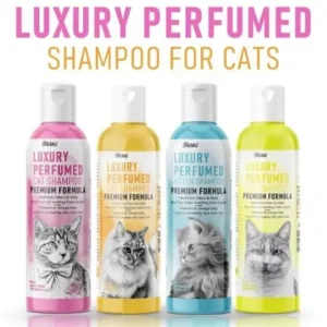 Pet Accessories luxury perfumed cat shampo-1piece