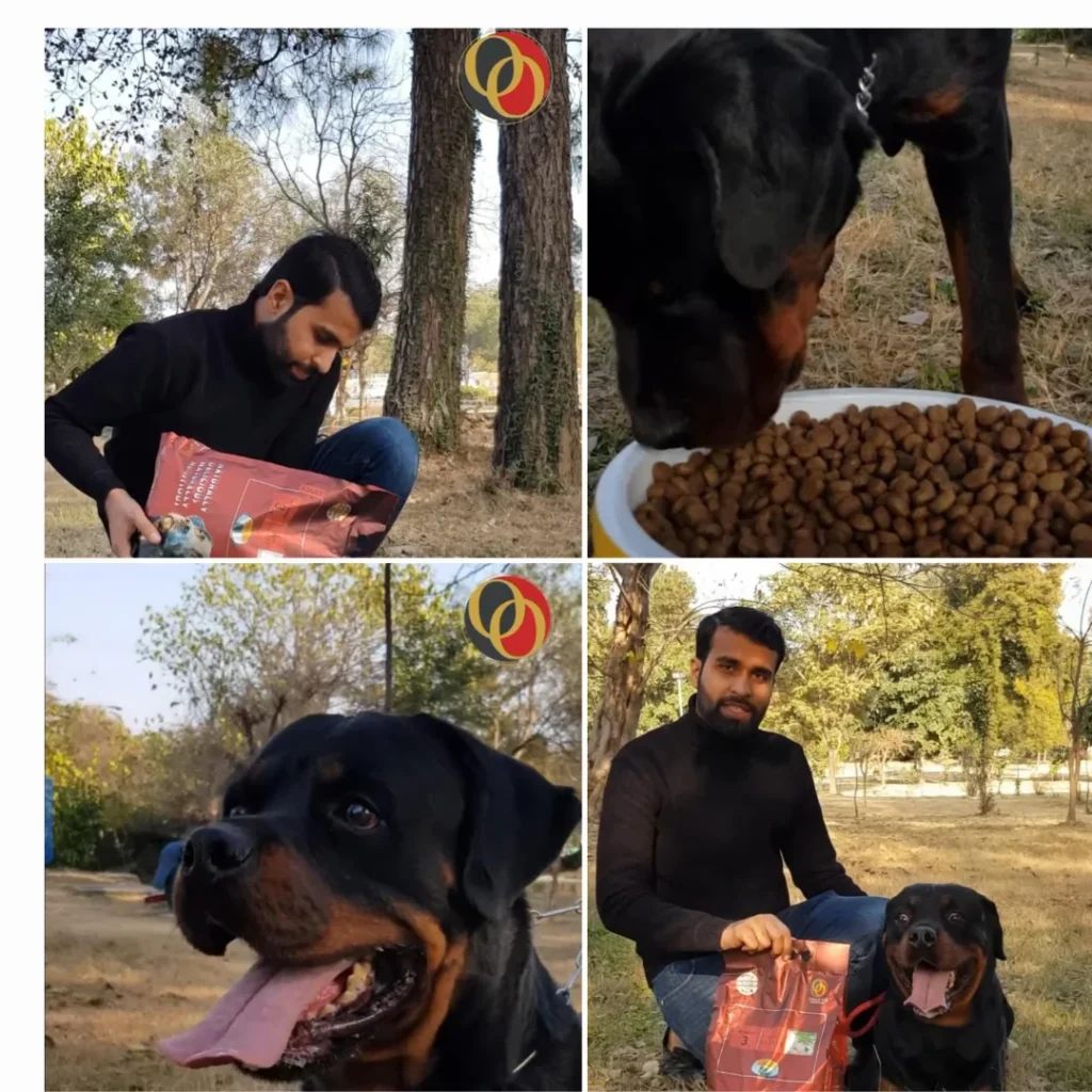 Photos And Colour Collage Mood Board Instagram Post 1024x1024