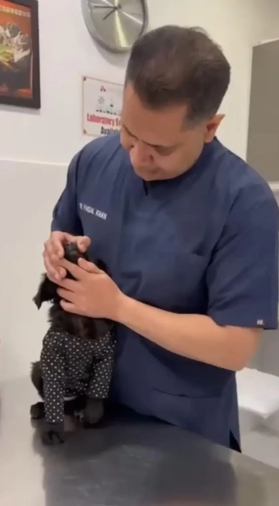 WhatsApp Image 2025 03 14 At 23.31.25 F4188d86 849x1536 1 566x1024