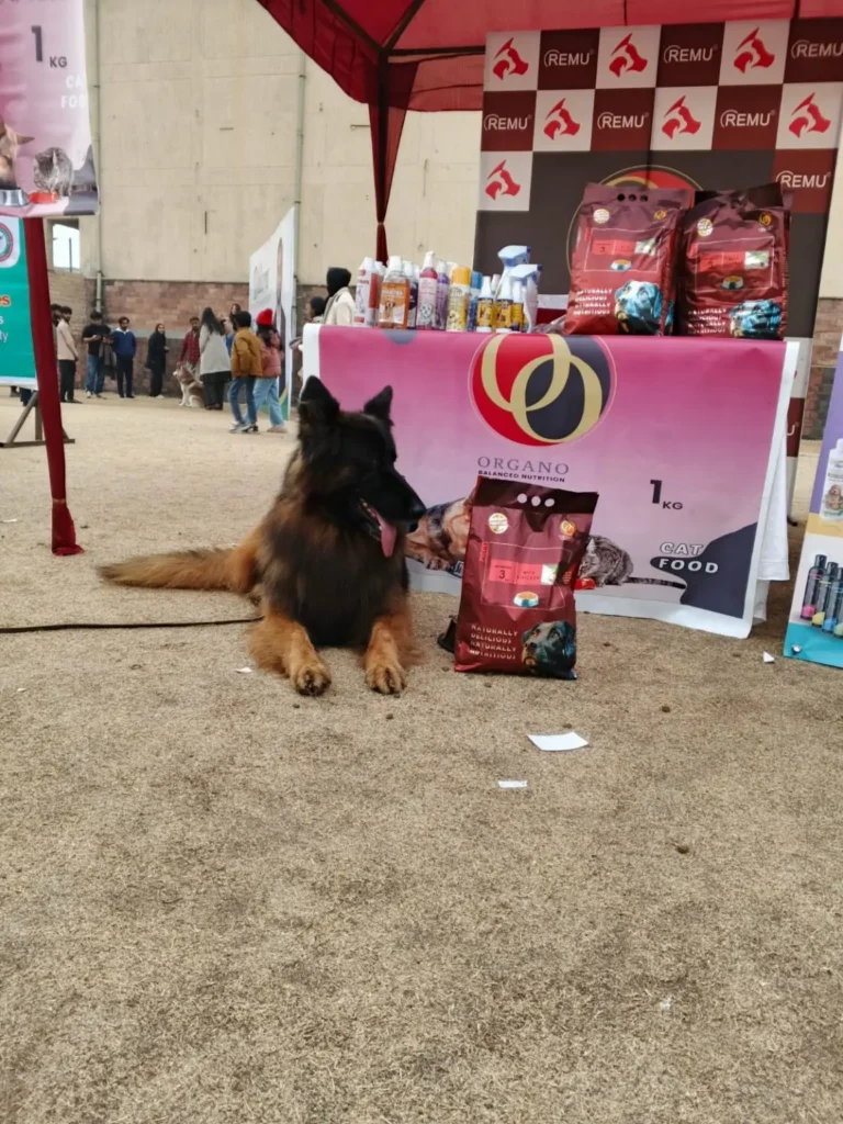 Pet Clinic Gallery in Islamabad