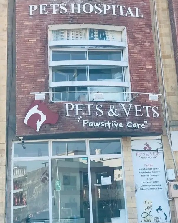 Best Pet Clinic in Islamabad providing veterinary care and grooming