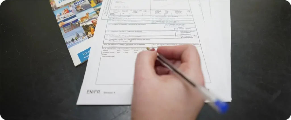 Pet Travel Milton Keynes Vets 1024x422