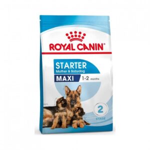 Royal Canin Starter Mother & Babydog Maxi (1–2 Months)