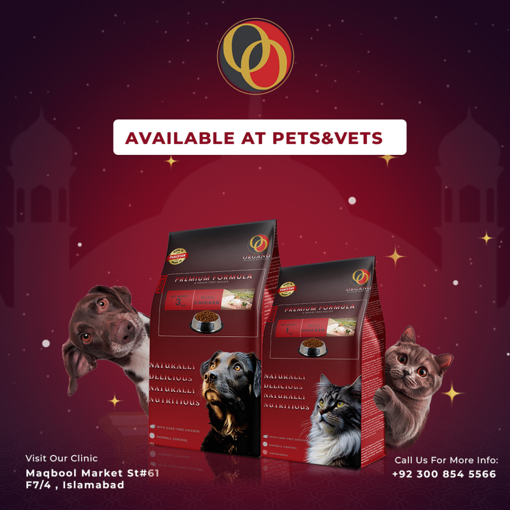 organo pet food