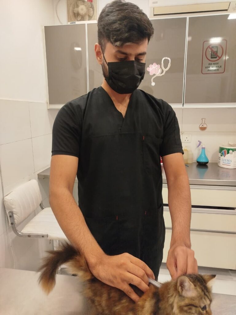 28157239 0110 4fe2 8189 2026285c47c3 768x1024