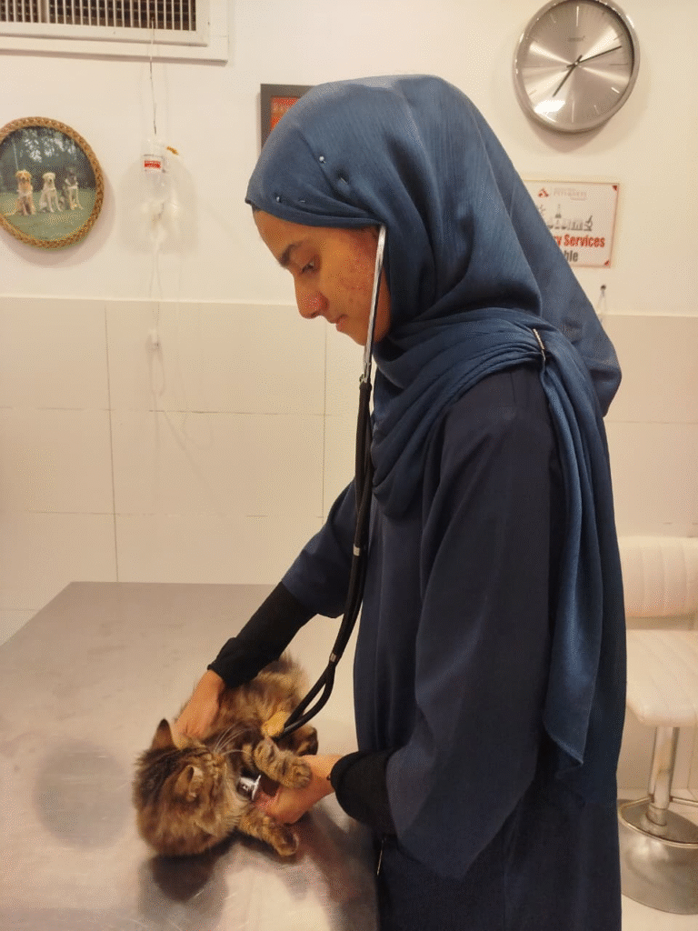 6ab2e731 Ae33 4545 8ebf 64eb90c53869 768x1024