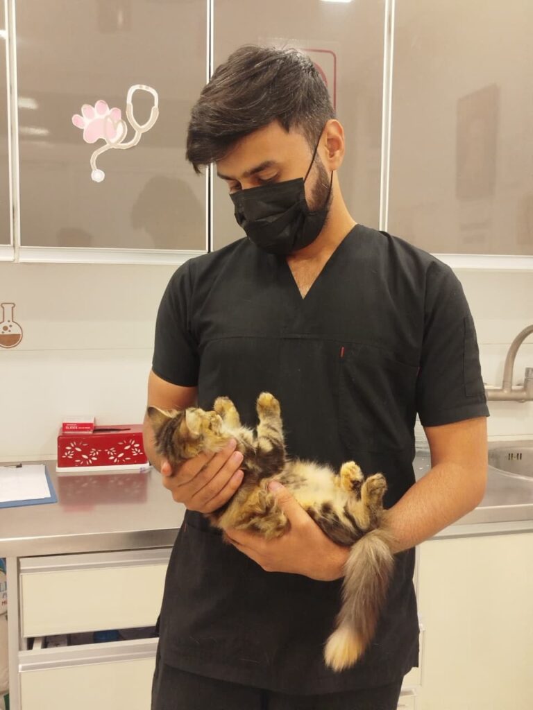 Fc9c163a 0467 4b67 9d0c Ff2d486a1545 768x1024