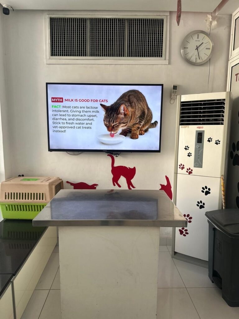 pet clinic in islamabad