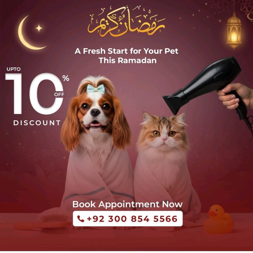 best pet clinic in islamabad