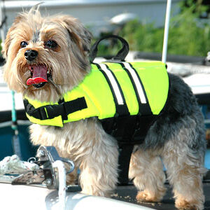 Pet Accessories dog life jacket h