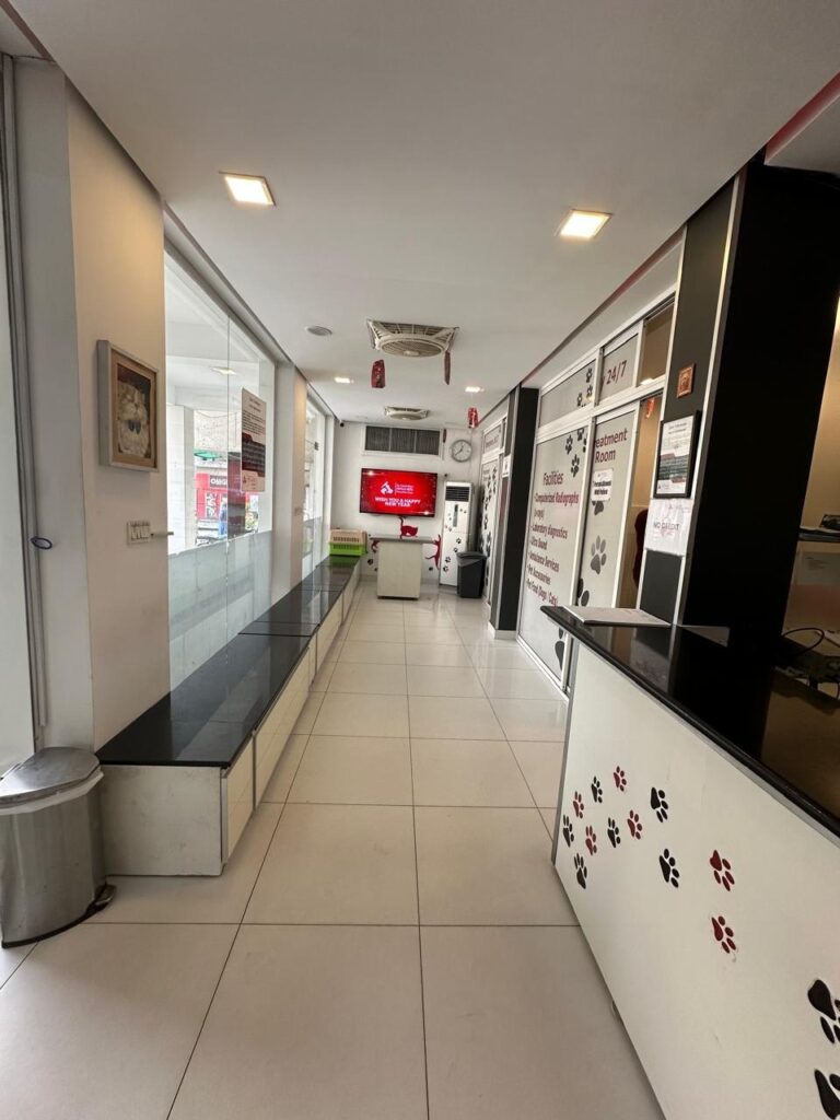 a425a673 45d5 4c9d bf0b 7110d729c8e1