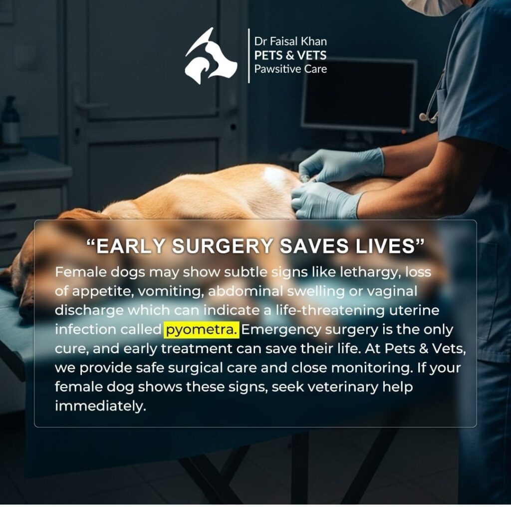 a45f846c 1dd8 47ab 84aa 95431df9aa5a