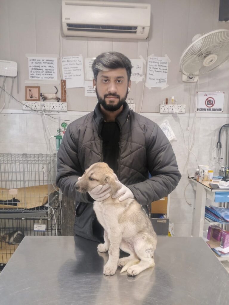 ccf361f4 da00 4eba a204 8c2cd78492a2