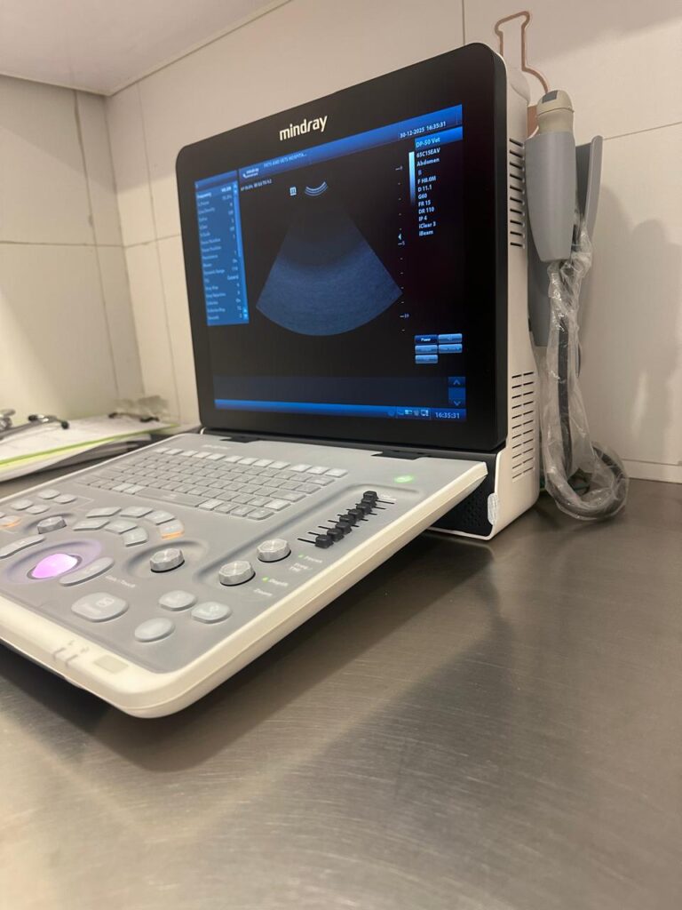 best pet clinic in islamabad