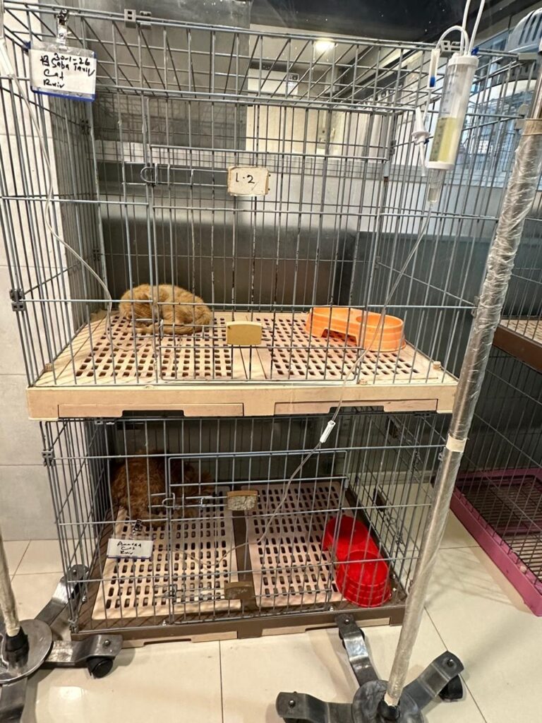 b0cd0611 d81b 4864 80e7 f1bb7b90be1d