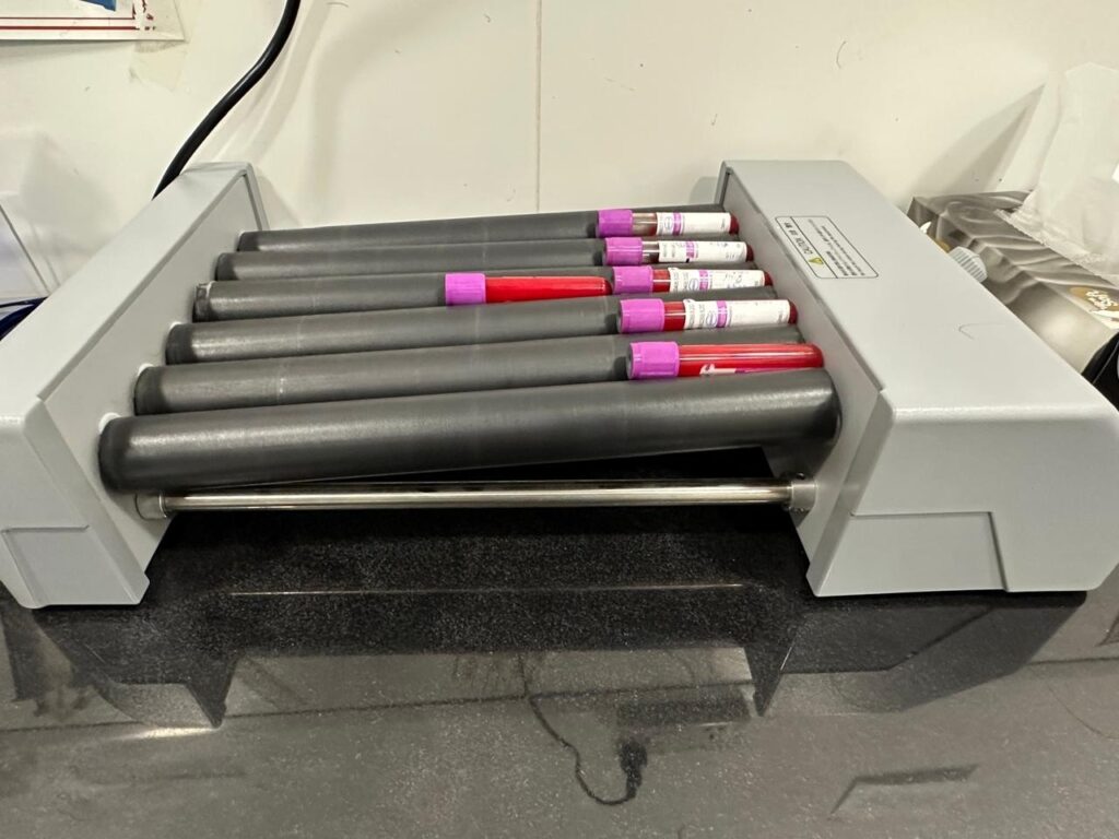 best pet clinic in islamabad