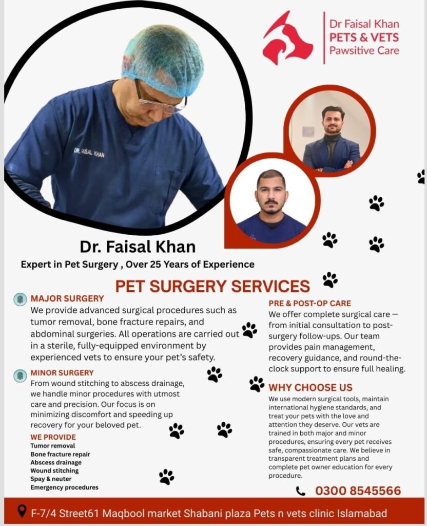 Pet Clinic in Islamabad