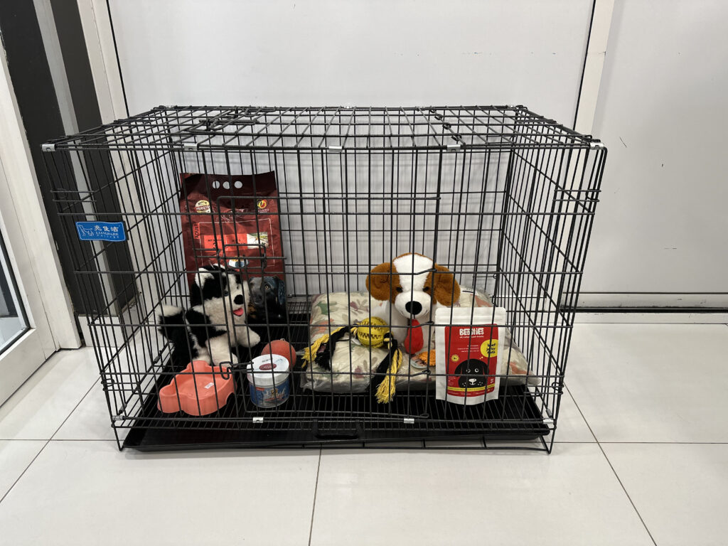 best pet clinic in islamabad