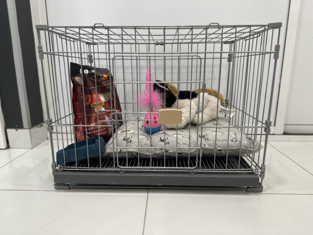 pet clinic in islamabad