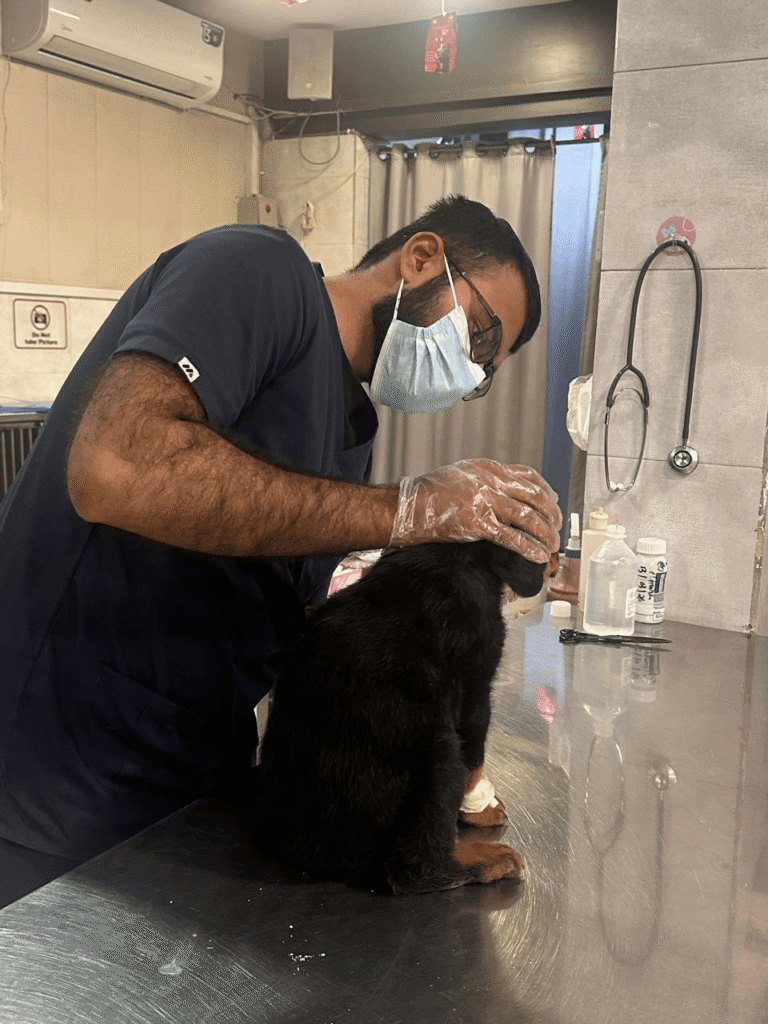 pet clinic in Islamabad