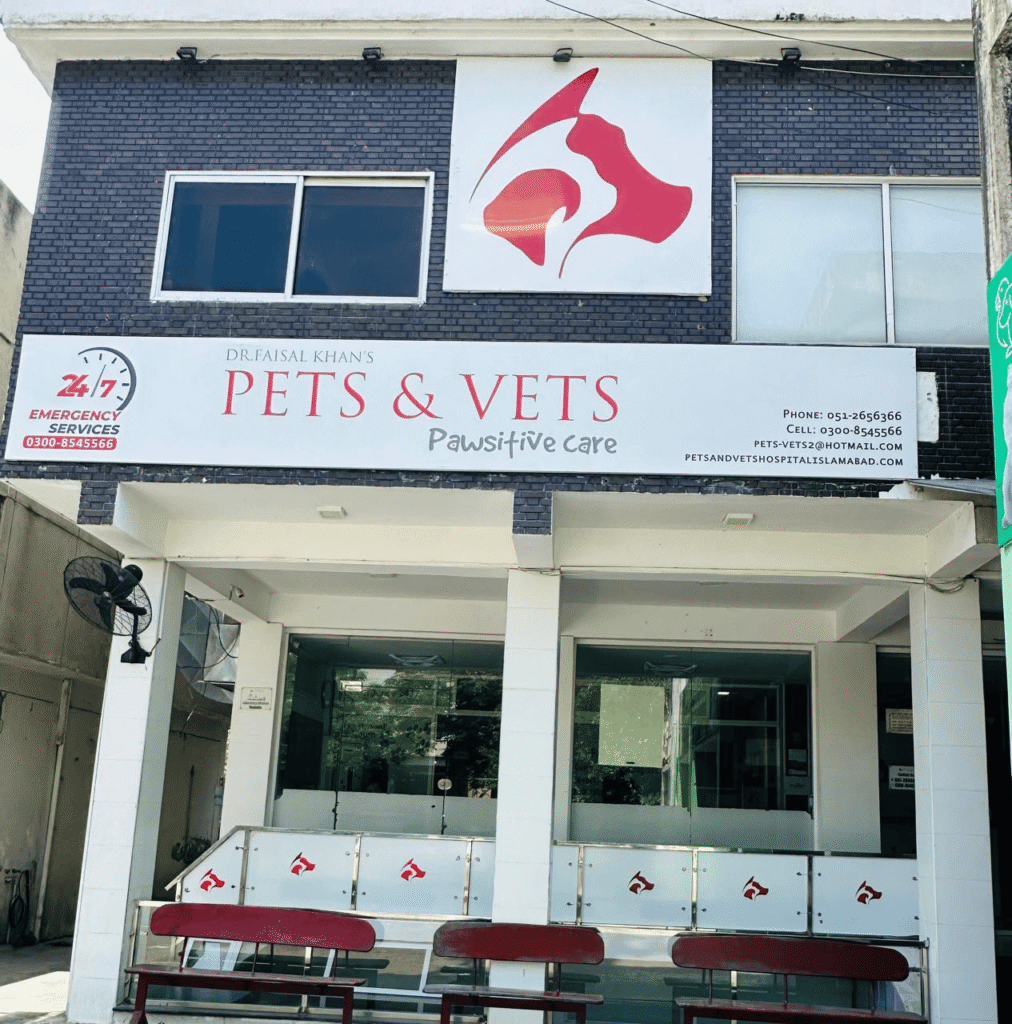 best pet clinic in islamabad