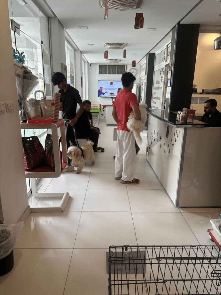 best pet clinic in islamabad