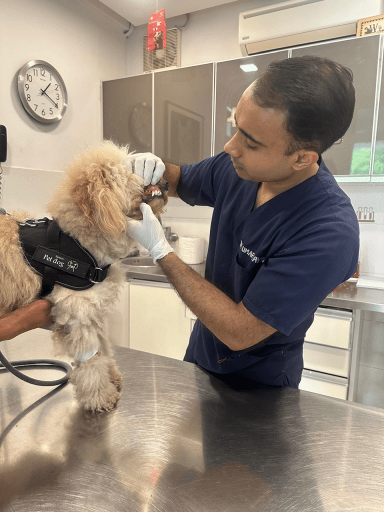 pet clinic in islamabad