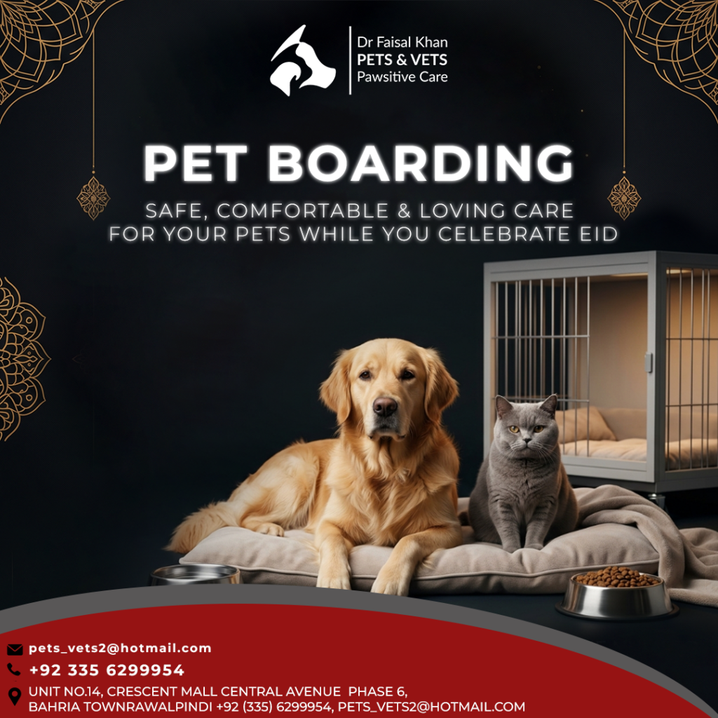 pet clinic in islamabad