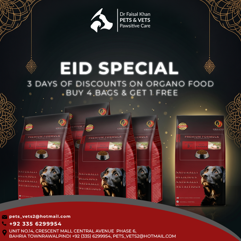 bets pet clinic in islamabad