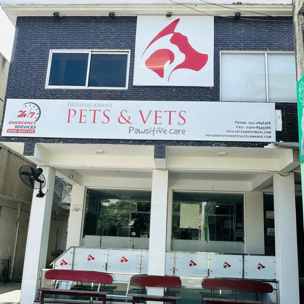 pet clinic in F-7 islamabad